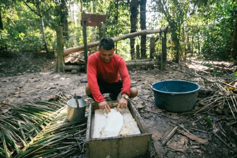 Mais de 90 seringueiros promovem debates em Brasília para fortalecer a cadeia da borracha nativa da Amazônia