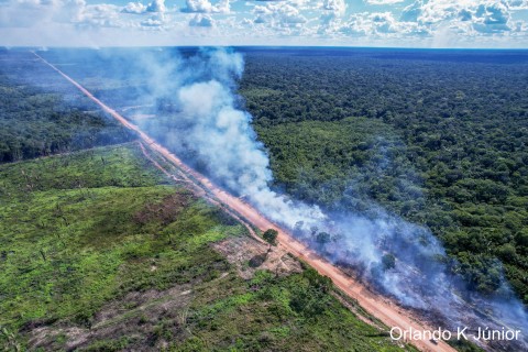 Plataforma apresenta mapa interativo com informações socioambientais sobre a rodovia BR-319